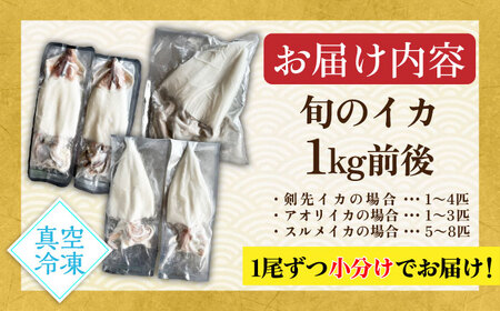 旬のイカ刺身1kg前後《壱岐市》【馬渡水産】イカ いか 烏賊 剣先 アオリ あおり スルメ するめ 刺身 刺し身 お刺身 海鮮 魚貝 冷凍配送 産地直送[JAQ027]