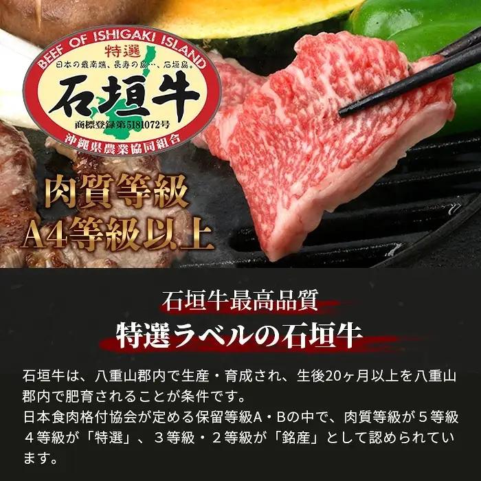 【訳あり】 石垣牛 焼肉用　(不揃い)　500g 　AB-26