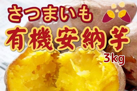 020-04 さつまいも「有機安納芋」3kg