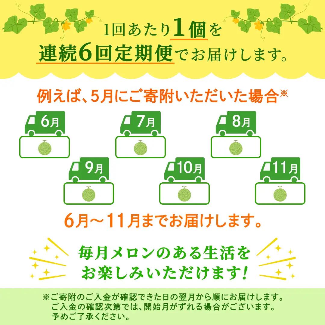 【定期便】 赤肉アールスメロン 1玉 × 6か月連続