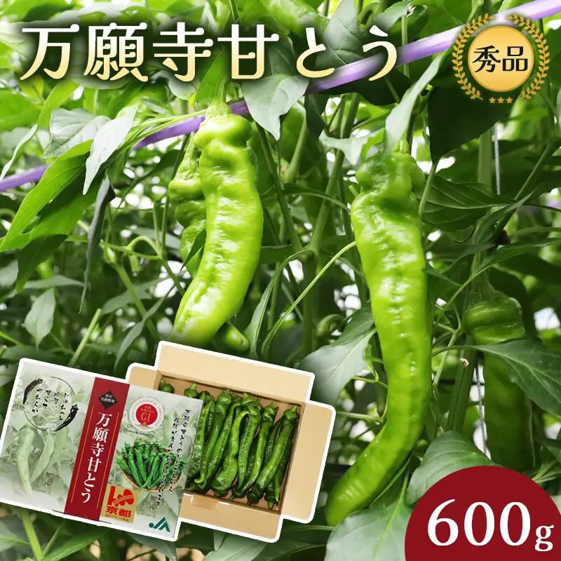 万願寺甘とう 秀品 600g | 万願寺とうがらし 野菜 京野菜