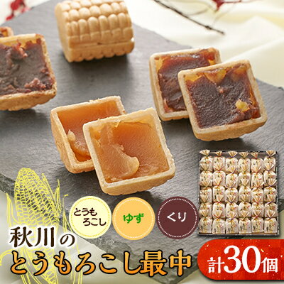 【ふるさと納税】秋川のとうもろこし最中(30個入)【お茶ぞっぺの中島屋(あきる野の匠)】【配送不可地域：離島】【1508516】