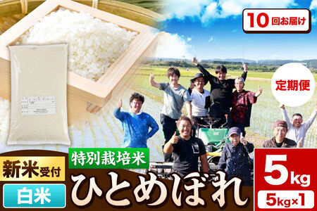 《新米予約》《定期便10ヶ月》令和8年産【白米】特別栽培米 ひとめぼれ 5kg 秋田県産 [ひとめぼれ 米 お米 白米 精米 特別栽培米 ブランド米 食卓 秋田県産 秋田県 由利本荘市]