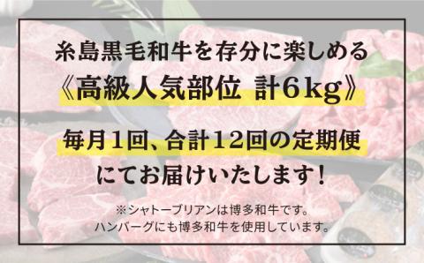 【人気部位定期便】糸島黒毛和牛（博多和牛）セット 全12回（月1回） 2人前 約6kg 糸島ミートデリ工房 [ACA111]