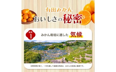 【2026年10月発送予約】＼光センサー選別／農家直送 こだわりの有田みかん 約6kg＋150g(傷み補償分) 【ご家庭用】みかん ミカン 有田みかん 温州みかん 柑橘 有田 和歌山 ※北海道・沖縄・