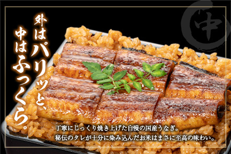 ＜3回定期便＞ 国産 ダブルうなぎ飯セット（1回あたり 320g×2食）肝焼き・たれ付き 宮崎県産 鰻 中村商店