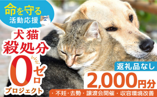 【お礼の品なし】犬猫殺処分ゼロプロジェクト＜2,000円＞長崎県ふるさと納税[42ZZAE001] 長崎 長崎の変 動物 犬 猫 いぬ ねこ イヌ ネコ 保護犬 保護猫 支援 応援 動物愛護 保護 どうぶつ 地域猫 寄付のみ 2000円 2000 二千円