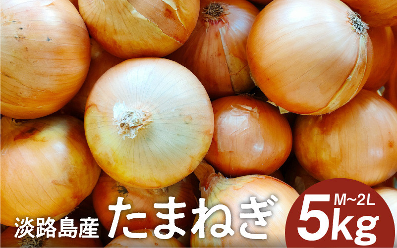 
            淡路島産たまねぎ 5kg入り箱 / 玉葱 玉ねぎ タマネギ 5キロ オニオン バーベキュー サラダ 焼き肉 スープ 国産 野菜
          