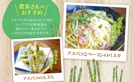W18-21 【訳あり】清流・有機肥料使用 アスパラガス(春芽) 1kg 【2026年4月より順次出荷】