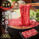 【ふるさと納税】牛肉 宮崎牛 旨み満載 切り落とし ミックス 300g モモ バラ ウデ 国産 冷凍 送料無料