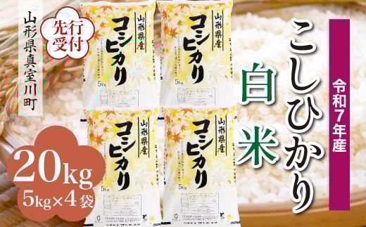 
            ＜令和7年産米先行受付＞ 真室川町産 こしひかり 【白米】 20kg （5kg×4袋）＜配送時期指定可＞
          