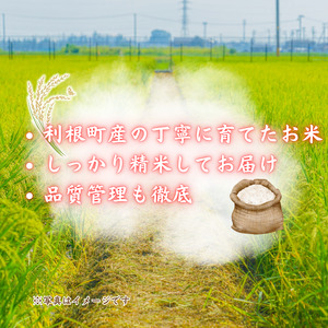 モチモチふっくら「ミルキークイーン」精米10kg ／ 米 こめ コメ お米 ご飯 ごはん ミルキークイーン 白米 精米 令和7年産 新米 10kg 利根町 送料無料