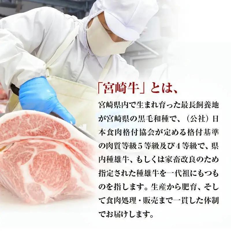 【お中元ギフト】宮崎牛＆宮崎県産豚肉 焼肉10種盛り 食べ比べセット計600g 宮崎牛4等級以上 国産牛 豚肉  ブランド牛 ミヤチク 内閣総理大臣賞4連覇＜47-3b＞●