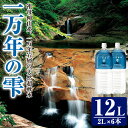 【ふるさと納税】ミネラルウォーター 一万年の雫 軟水 (計12L・2L×6本) 国産 お水 ミネラル 天然 料理 健康 維持 常温 常温保存　大分県 佐伯市 防災【BM77】【 (株)ウェルトップ】