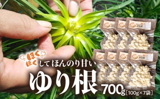 1945 ほくほくしてほんのり甘いゆり根 700g（100g×7袋）　KN082-001-07