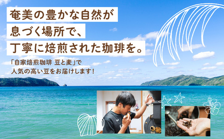 【自家焙煎】豆と麦 ブレンドNo.2（粉） 200g×1袋 A017-017-06 コーヒー 珈琲 ブレンドNo.2 粉 ブレンドコーヒー エチオピアモカ フルーティー エレガント 自家栽培珈琲 自家