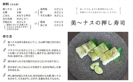 美～ナス 12本 翡翠茄子 なす 茄子 ナス