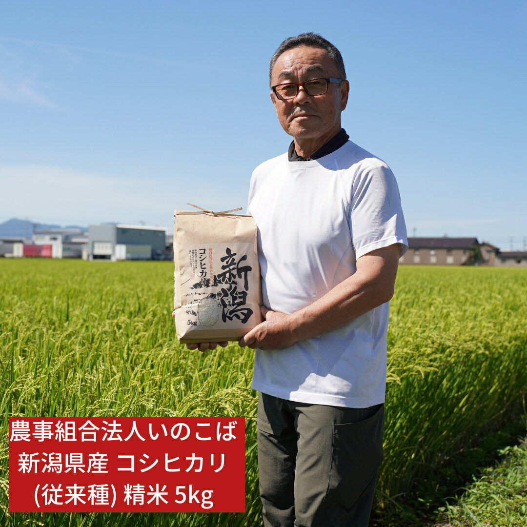 【ふるさと納税】先行予約 新潟県三条市産 コシヒカリ（従来種) 精米 5kg 新潟県産コシヒカリ 令和7年産 2025年産 こしひかり [農事組合法人いのこば]【015S196】
