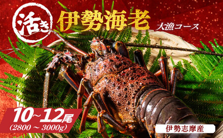 地物 活き 伊勢海老 10～12尾 約2800～3000g 山金商店  伊勢海老 伊勢海老 伊勢海老 伊勢海老