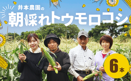 【先行予約】井本農園の朝採れとうもろこし 6本 とうもろこし