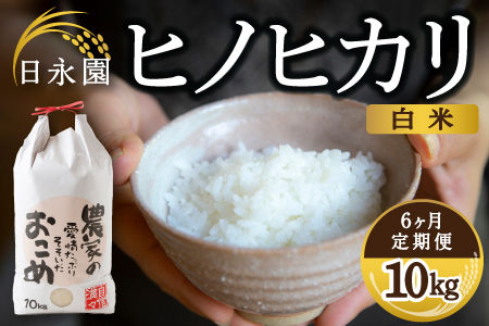 【6ヶ月定期便】日永園 ヒノヒカリ 白米10kg×6ヶ月 【2025年11月下旬より発送予定】 米 お米 ご飯  うきは市
