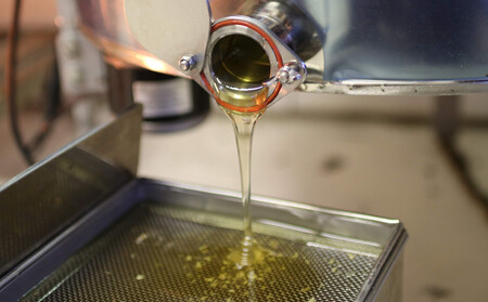 長野原町産 生はちみつ 大容量600gパウチ ＋ 300gボトル 詰め替えセット【蜂蜜 ハチミツ ギフト 詰合せ 群馬県 長野原町 北軽井沢】