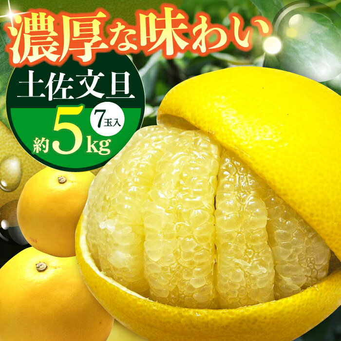 【ふるさと納税】【先行予約】南国高知温室土佐文旦 約5kg 7玉〈2025年11月中旬〜2026年2月中旬頃発送〉/ ぶんたん 果物 フルーツ 高知名物 【フルーツショップオザキ】[ATAH016]