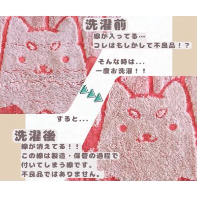 ふるさと納税 磐田市 しっぺいフェイスタオル&ハンドタオル各3色(レッド・ネイビー・パープル) Bセット |  | 03