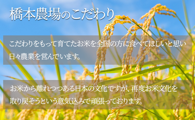 【新潟県上越市産　令和7年産】栽培期間中 農薬不使用コシ