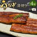 【ふるさと納税】小川菊のうなぎの蒲焼き 4尾分 ／ 鰻 ウナギ 埼玉県