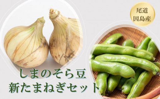 
【先行予約】しまのそら豆と新たまねぎセット
