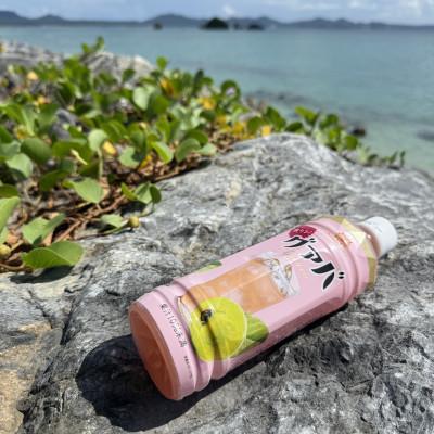 ふるさと納税 本部町 沖縄ボトラーズのグアバジュース 500ml×24本 |  | 02