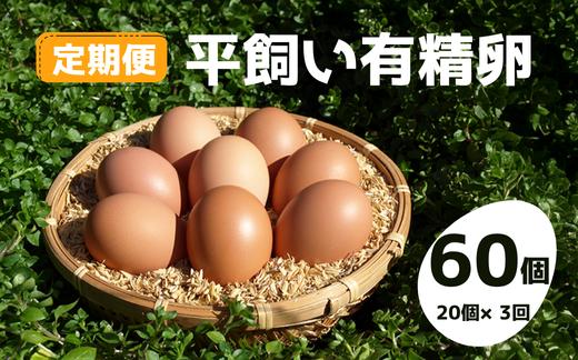 
            【定期便】平飼い有精卵 60個（20個×3回）
          