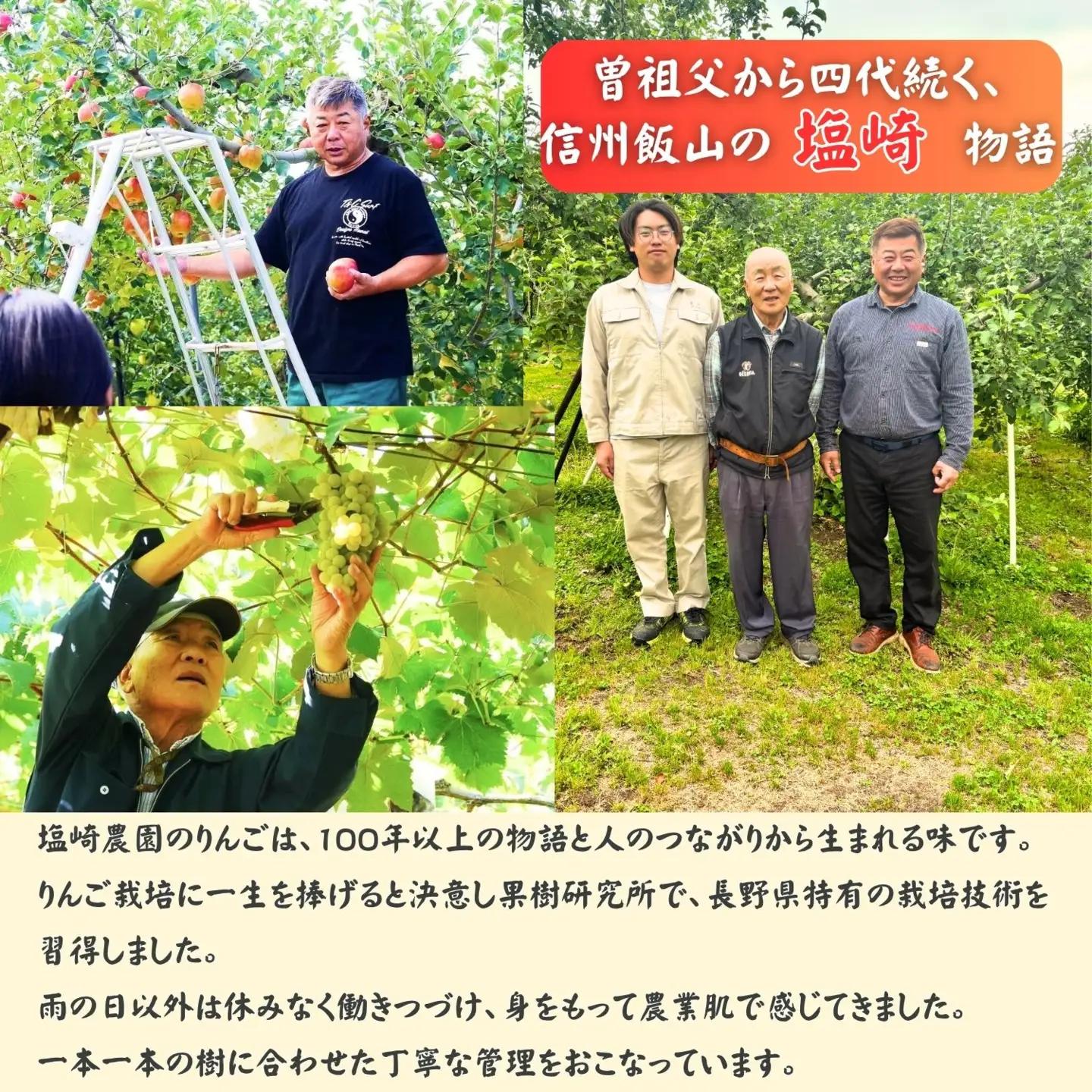 【秋映】りんご 約5kg（11～20玉）2026年10月上旬より発送_先行予約 | リンゴ At-009