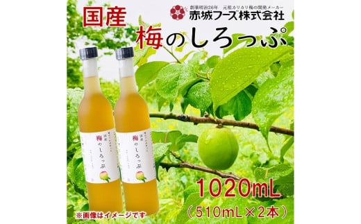 すっきり爽やかな味～国産 梅のしろっぷ 2本セット | 梅シロップ 国産梅 梅ドリンク 梅ジュース 梅しろっぷ 2本セット 梅エキス さっぱり飲料 クエン酸 ギフトセット お中元ギフト 爽やかドリンク お取り寄せ ノンアルコール 群馬県 前橋市