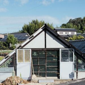 御贈答用 岡山県産 瀬戸ジャイアンツ シャインマスカット 2房入り(1.2kg以上) ぶどう ブドウ 葡萄 フルーツ 果物 岡山 瀬戸内市