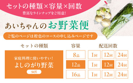 【12品 / 12回定期便】「よしのがり野菜」セット（レギュラー）吉野ヶ里町/吉野ヶ里あいちゃん農園 減農薬 有機肥料 1年間 [FAA006]