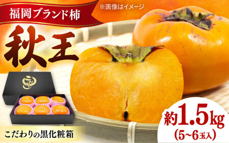 秋の贅沢、濃厚であま～い柿の新ブランド「秋王」約1.5kg こだわりの黒化粧箱／2026年10月～11月頃より発送予定[ADCF009]