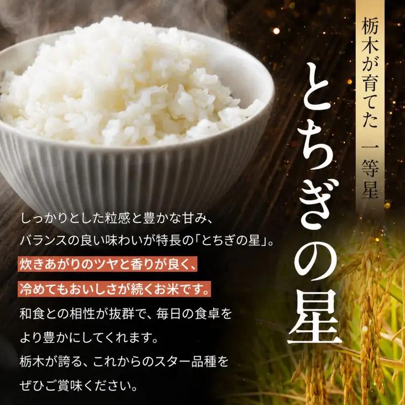 【定期便3回】令和8年度 新米 栃木県産 とちぎの星 2kg 玄米 密閉パック | BG 栃木県共通返礼品 真岡市産 栃木県 下野市