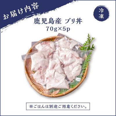 ふるさと納税 鹿児島市 【 生活応援 + マグロ中落丼 100g×1P 】 期間限定 鹿児島産 ブリ丼 70g×5セット |  | 03