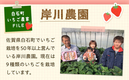 【先行予約】冷凍いちご おまかせ 詰め合わせ 1.5kg【岸川農園】 [IAP001]