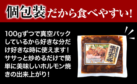馬ホルモン焼 10個セット 10人前 (100g×10個) 千興ファーム 《60日以内に出荷予定(土日祝除く)》 熊本県 御船町 ホルモン ホルモン焼き 馬ホルモン 馬 馬肉 タレ たれ 個包装 おつ