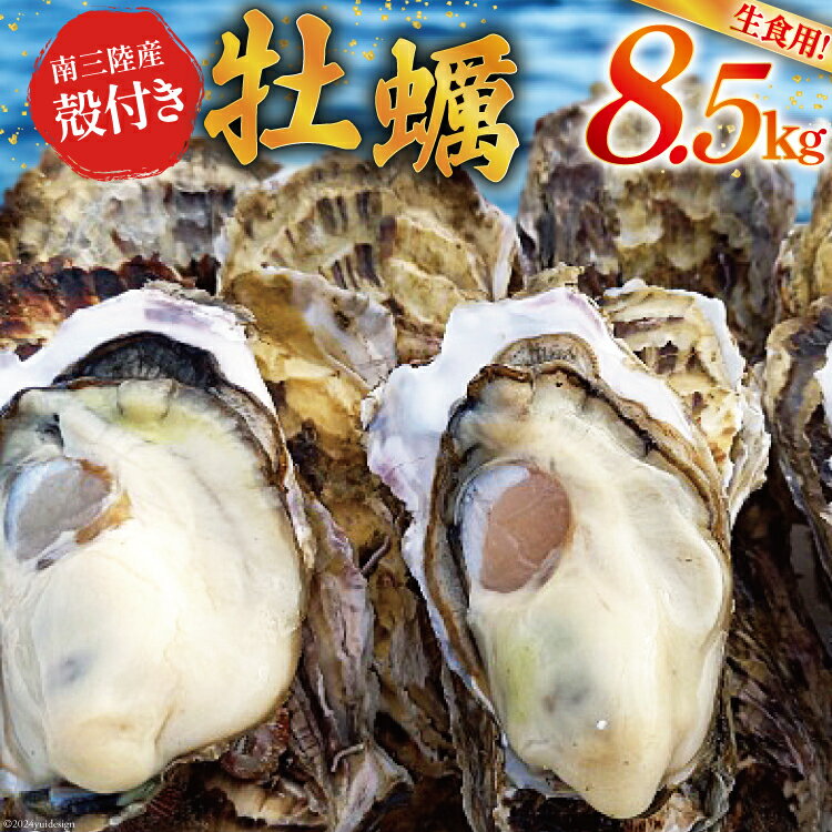 【ふるさと納税】【期間限定発送】牡蠣 南三陸志津川産 殻付き牡蠣 8.5kg 50個前後 [南三陸牡蠣倶楽部 宮城県 南三陸町 30ao0003] カキ かき 生牡蠣 魚貝類 生牡蠣 貝 海鮮 魚介類 オイスター カキフライ カキ鍋 アヒージョ 魚介 期間限定 冷蔵 新鮮 濃厚