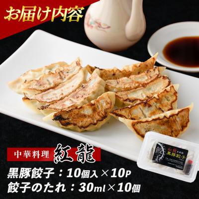 ふるさと納税 指宿市 黒豚餃子 10個入×10パック(IB131-003) |  | 01