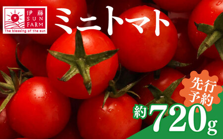 訳あり ミニトマト【 約720g 】 訳あり FN-SupportProject 増量 年末企画