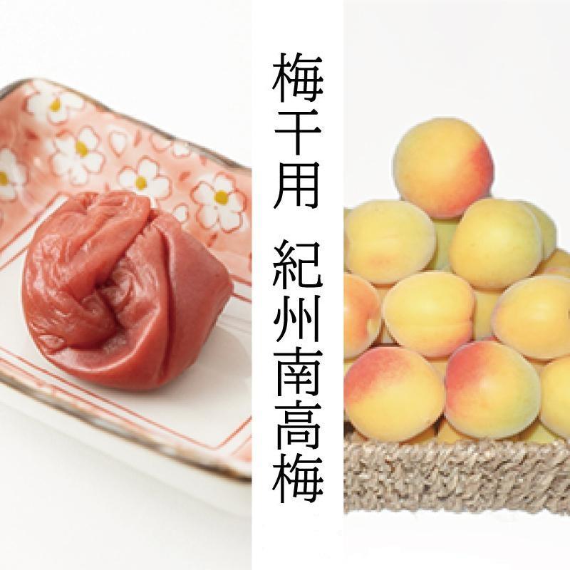 【ふるさと納税】【梅干・梅酒用】（2LまたはL－10Kg）熟南高梅＜2025年6月上旬～7月7日発送予定＞フルーツ 果物 くだもの 食品 人気 おすすめ 送料無料【ART03】