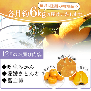 【６か月定期便】みかん頒布会　３種×各２kg