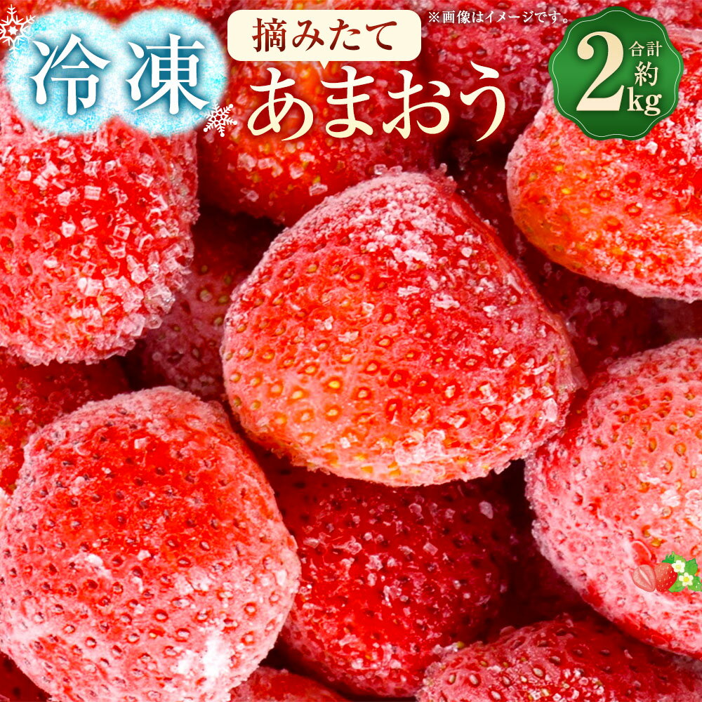 【ふるさと納税】福岡県産 摘みたて【冷凍あまおう】 計約2kg（約500g×4パック） あまおう いちご イチゴ 苺 フルーツ くだもの 果物 果実 デザート 果汁 ビタミンC キシリトール カリウム 食物繊維 健康 アンチエイジング 美容 国産 九州 福岡県 太宰府市 送料無料