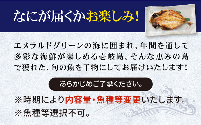 旬の海産物 干物詰め合わせ Aセット 《壱岐市》【マルミ海産物】[JCY002] 11000 11000円 干物 ひもの アジ あじ さんま サンマ イワシ みりん干し 朝食 鮮魚 手作り