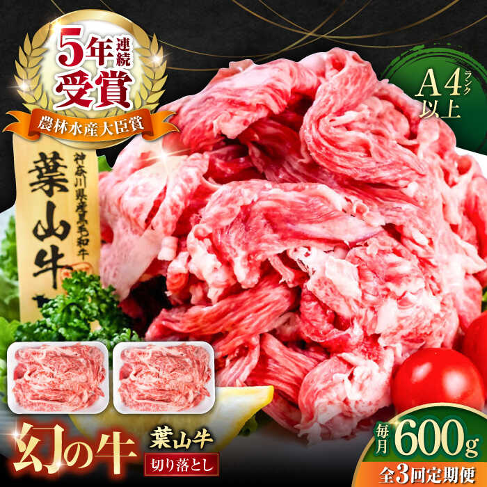 【ふるさと納税】【全3回 定期便】葉山牛 切り落とし300g×2パック 計600g 国産牛 牛肉 切り落とし 薄切り 高級和牛 冷凍 黒毛和牛 国産 和牛 赤身 希少品種 小分け 横須賀 すき焼き すきやき ぎゅうにく きりおとし 大容量 神奈川銘品 お取り寄せ 【株式会社羽根】[AKAG027]